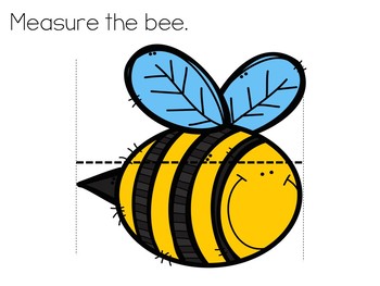 Measuring Insects: Using Standard and Non-Standard Measures by Rita