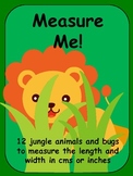 Measuring Jungle Animals and Bugs with Centimeters or Inches