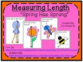 Measuring Length-Spring Has Sprung