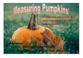 Measuring Pumpkins for Halloween