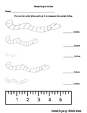 Measuring in Inches Worksheet