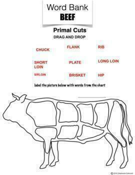 Beef Meat Identification