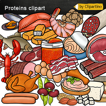 Clip Art Protein