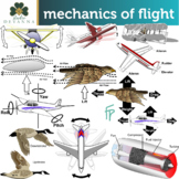 Mechanics Of Flight Clip Art