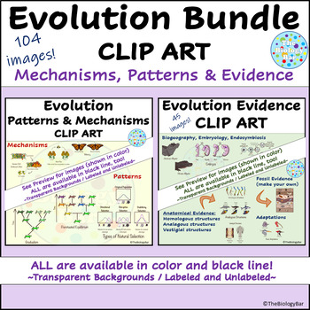 Preview of Mechanisms and Evidence of Evolution Clip Art Bundle