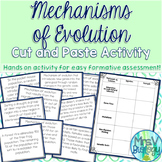 Mechanisms of Evolution Cut and Paste Activity