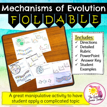 Preview of Mechanisms of Evolution Foldable | NO PREP