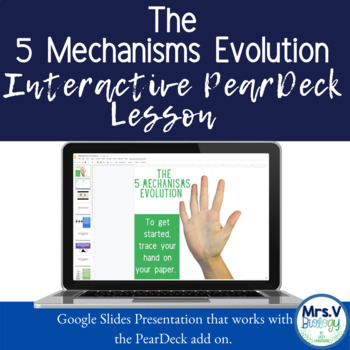 Preview of Mechanisms of Evolution Google Slides/Pear Deck Interactive Lesson