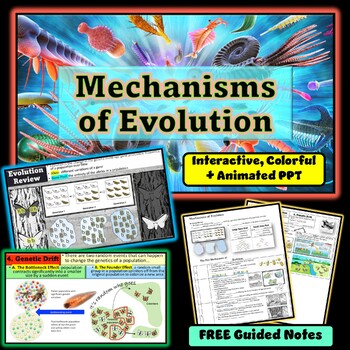 Preview of Mechanisms of Evolution Interactive & Animated PowerPoint (+ FREE Guided Notes!)
