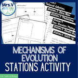 Mechanisms of Evolution Stations