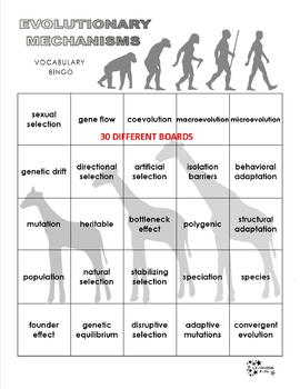 Mechanisms Of Evolution Vocabulary Bingo By Learning Fun Tpt