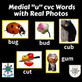 Medial "u" cvc with Real Pictures