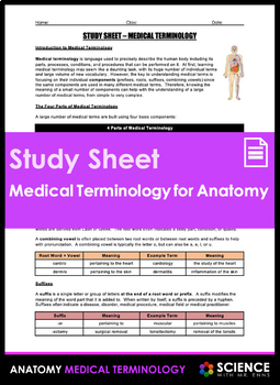 Preview of Medical Terminology and Vocabulary Root Words for Anatomy Study Sheet