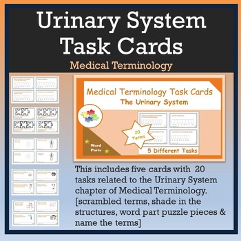Preview of Medical Terminology: The Urinary System Fun Task Cards!