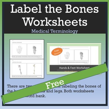 Preview of Medical Terminology: Label the Bones of the Hand, Foot, Arm & Leg Worksheets