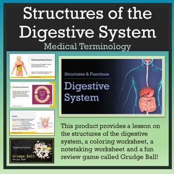 Preview of Medical Terminology/Structures of the Digestive System [Lesson, Review Game, WS]