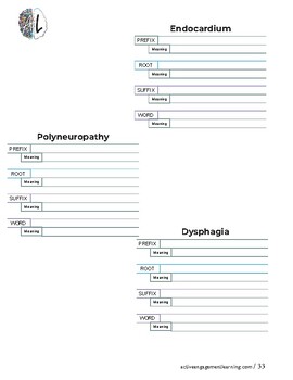 Preview of Medical Terminology Unit 4 PREFIXES Workbook with Answer Key