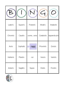 Preview of Medical Terminology Unit 5 Directional Terms Anatomy & Physiology BINGO 30 cards