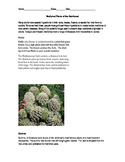 Medicinal Plants Text and Task