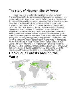 Preview of Meeman-Shelby Forest 3 Part Cards