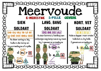 meervoude by raak slim in afrikaans teachers pay teachers