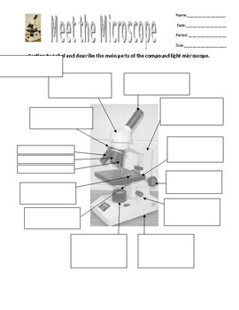 Meet the Microscope by KMSbiology | TPT