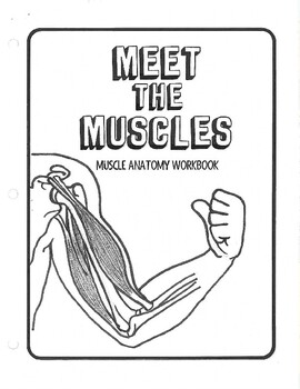 Preview of Meet the Muscles