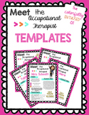 Meet the OT Template — 4 EDITABLE VERSIONS