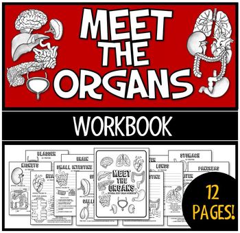 Preview of Meet the Organs Workbook- 12 pages-anatomically accurate illustrations and facts