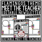Flamingo Welcome Back to School Letters Editable: Meet The