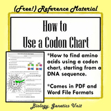 How to Read a Codon Chart (Printable Student Reference Sheet)