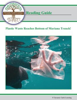 A Guide to Plastic in the Ocean