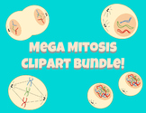 Mega Mitosis Clipart Diagram Bundle!