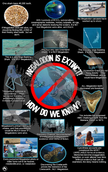 Preview of Megalodon Is Extinct Poster
