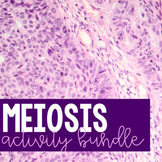 Meiosis Activity Bundle