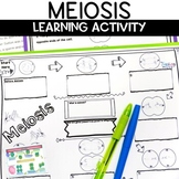 Meiosis Activity Cell Division Science Lesson and Worksheets