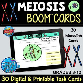 Preview of Meiosis Boom Cards