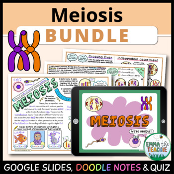 Preview of Meiosis Bundle - Google Slides Activities, Doodle Notes and Google Forms Quiz