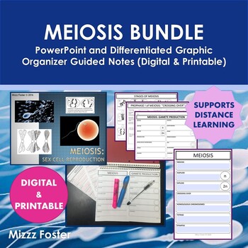 Preview of Meiosis: PowerPoint and Guided Notes (Printable & Digital)