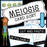 Meiosis Card Sort
