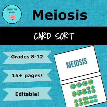 Preview of Meiosis Card Sort Activity