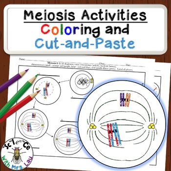 Preview of Meiosis Diagram Activities for High School Biology