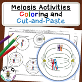 Meiosis Diagram Activities for High School Biology