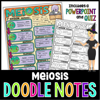 Preview of Meiosis Doodle Notes | Science Doodle Notes