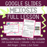 Meiosis Full Lesson: Warmup, Slides, Guided Notes, Exit Ticket