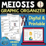 Meiosis Graphic Organizer & Activities - Digital & Printable