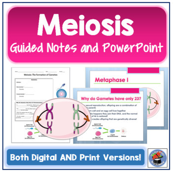 Preview of Meiosis Guided Notes and PowerPoint