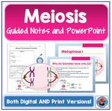 Meiosis Guided Notes and PowerPoint