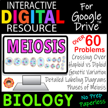 Preview of Meiosis ~Interactive Digital Resource for Google Drive~