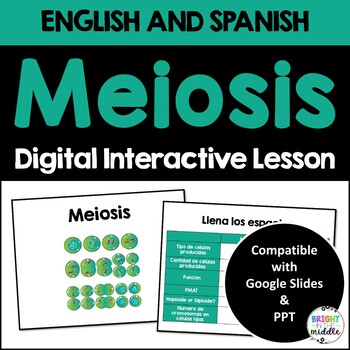 Preview of Meiosis Interactive Lesson - ENGLISH AND SPANISH bundle